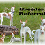 Breeder Referral