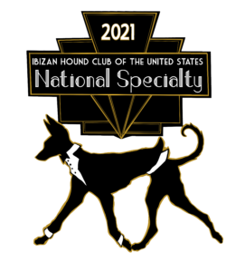 IHCUSNSLOGO2021 271x300 1
