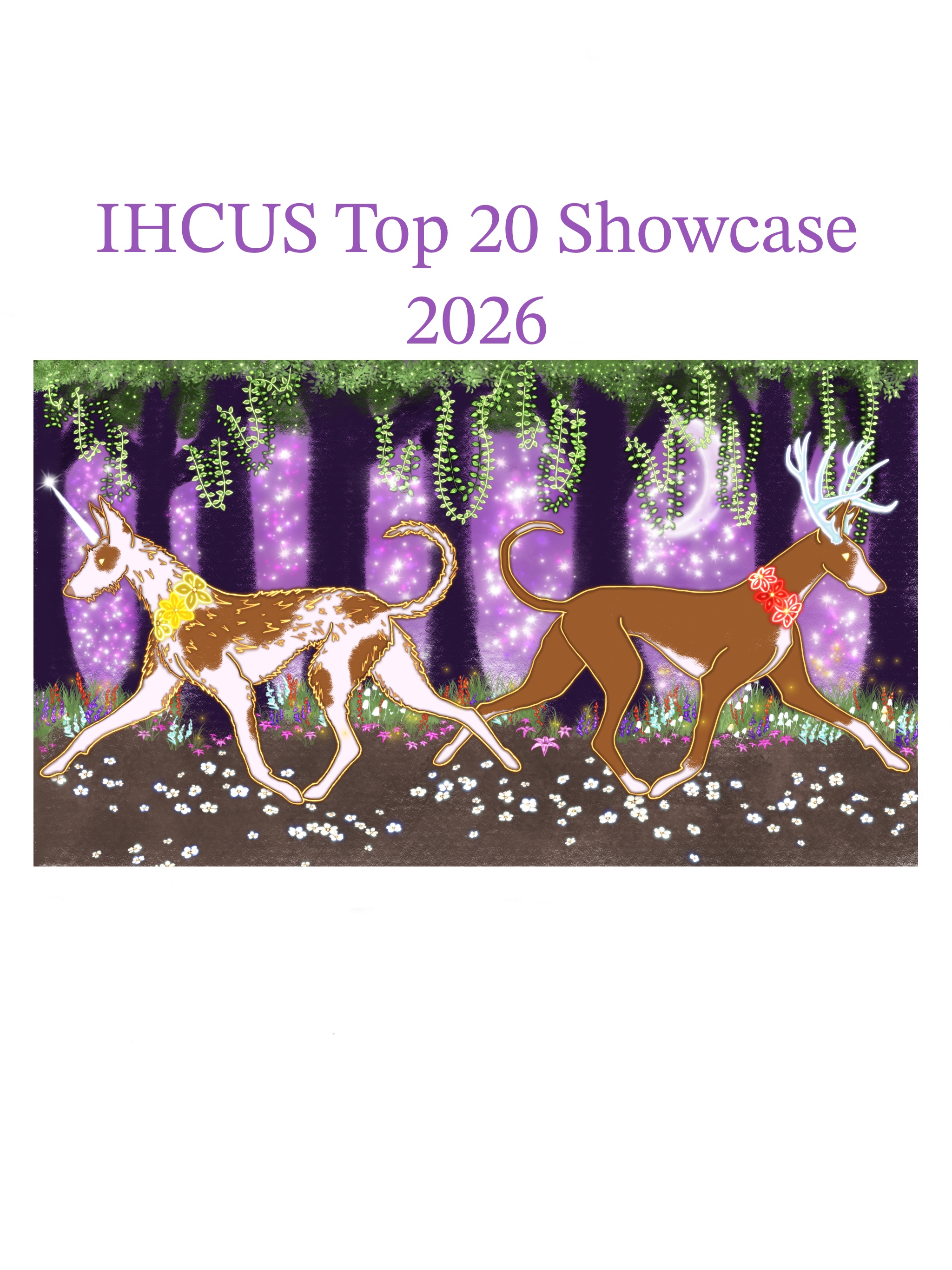 IHCUS Top 20